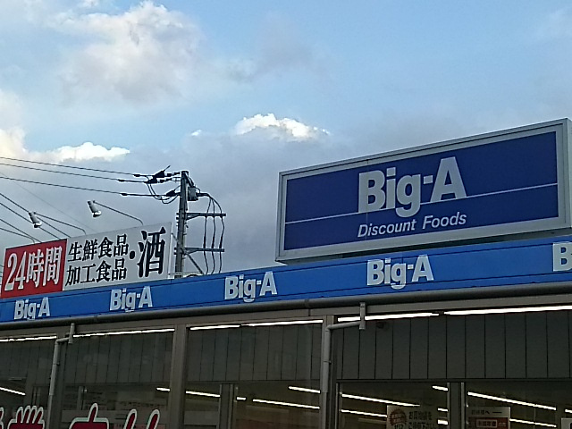 ビッグ・エー 浦和本太店