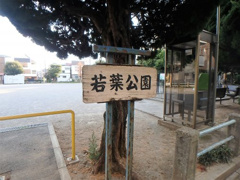 若葉公園