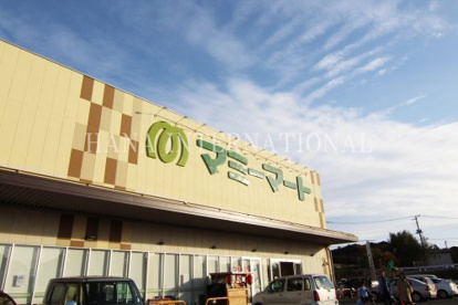 マミーマート 流山セントラルパーク店情報ページ 京橋で仲介手数料最大無料の賃貸情報 ハナインターナショナルへ