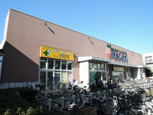 どらっぐぱぱす セルカ高砂店