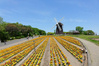 花博記念公園鶴見緑地の画像2