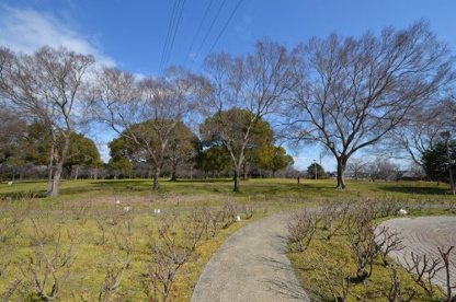 尼崎市立農業公園の画像1