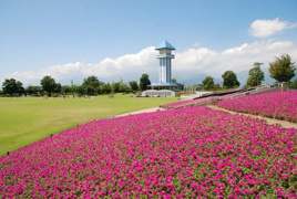 赤坂台総合公園（ドラゴンパーク）