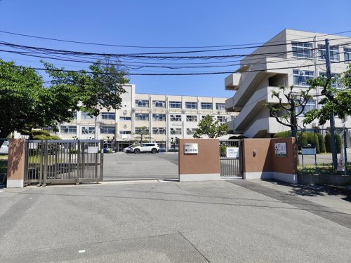 第八中学校