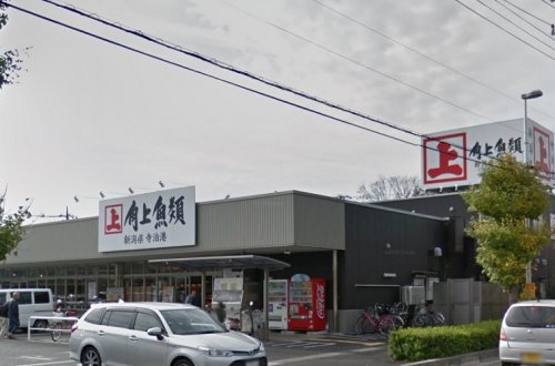 角上魚類 大宮店