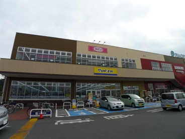 ドラッグストア マツモトキヨシ ピアシティ柏中新宿店情報ページ 柏市の賃貸物件はアパートマンション館柏店