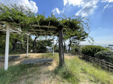 前山公園の画像2