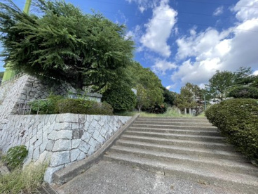 前山公園の画像3