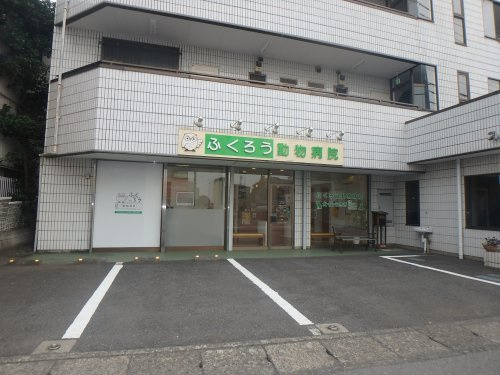 ふくろう動物病院