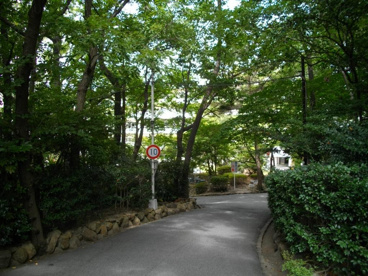 夙川学院中学校の画像3