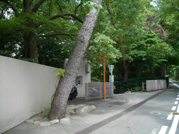 夙川学院中学校の画像4