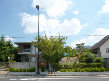 ニコニコ桜保育園の画像4
