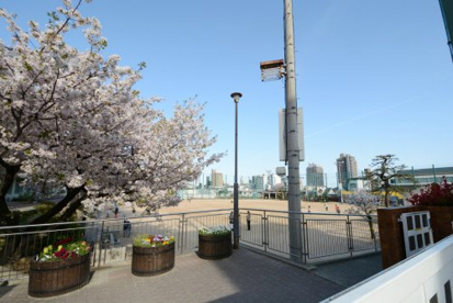 神戸市立六甲小学校の画像3