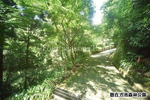 散在ガ池森林公園情報ページ 茅ヶ崎 藤沢 湘南の不動産売買ならフォーシーズンズランド