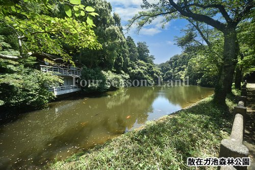 散在ガ池森林公園情報ページ 茅ヶ崎 藤沢 湘南の不動産売買ならフォーシーズンズランド