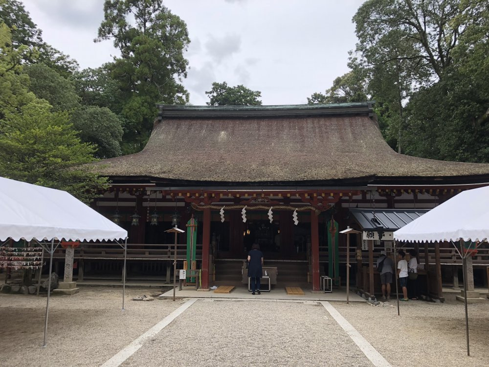 い その か みじん ぐう