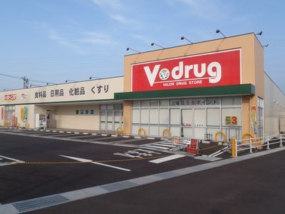 V・drug(V・ドラッグ) 掛尾店