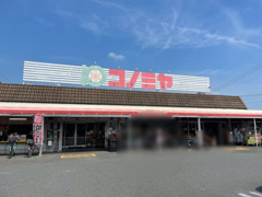 コノミヤ 甚目寺店
