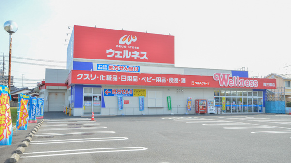 ドラッグストアウェルネス 両三柳店