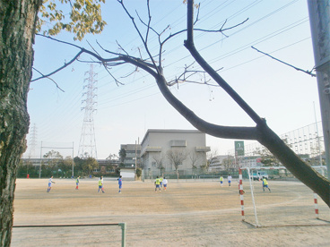 尼崎市立　常陽中学校の画像3
