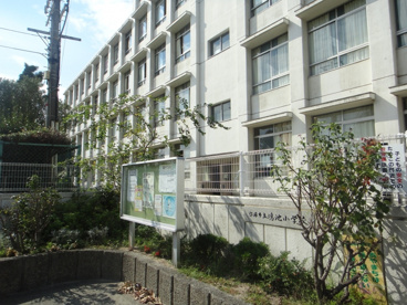 伊丹市立　鴻池小学校の画像5