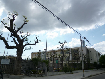 西宮市立　津門小学校の画像5