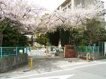 西宮市立　樋ノ口小学校の画像