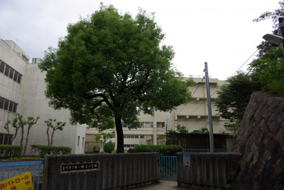 宝塚市立　中山桜台小学校の画像4