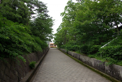 宝塚市立　中山桜台小学校の画像5
