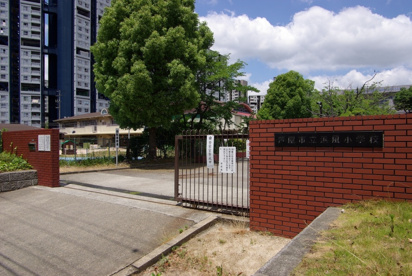 芦屋市立浜風小学校の画像4