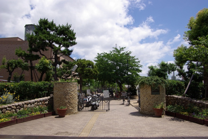 芦屋市立　宮川小学校の画像3