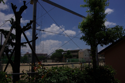 芦屋市立　宮川小学校の画像5