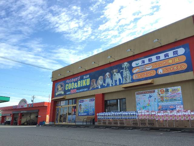 ペットショップCoo&RIKU富山店