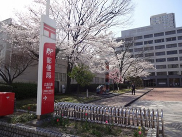 広島白島郵便局