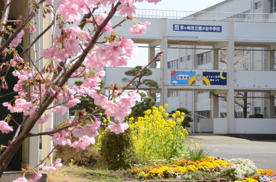 茅ヶ崎市立鶴が台中学校