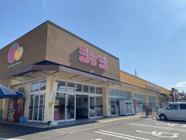 ショージ 八本松南店