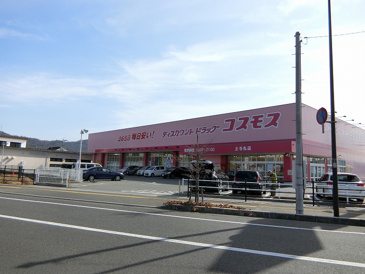 ディスカウントドラッグコスモス土与丸店