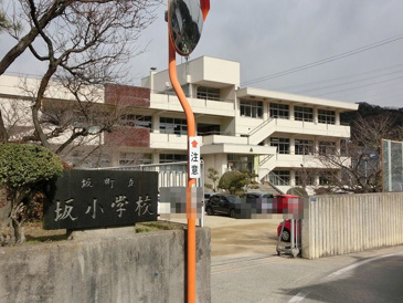 坂小学校