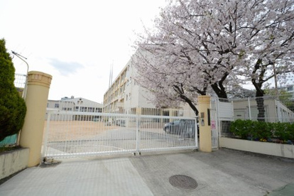 神戸市西灘小学校の画像1