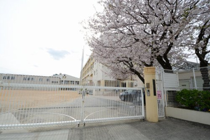 神戸市西灘小学校の画像2