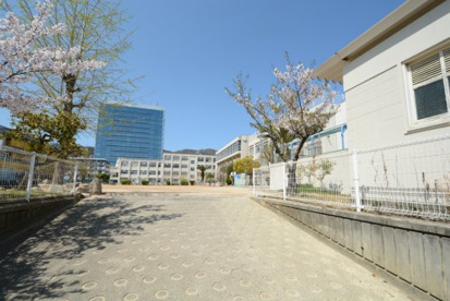 神戸市立本山南小学校の画像5