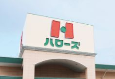 ハローズ沼南店の画像1