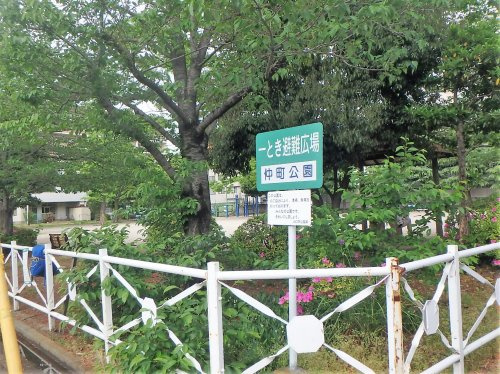 仲町公園