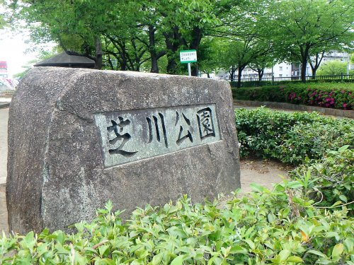 芝川公園