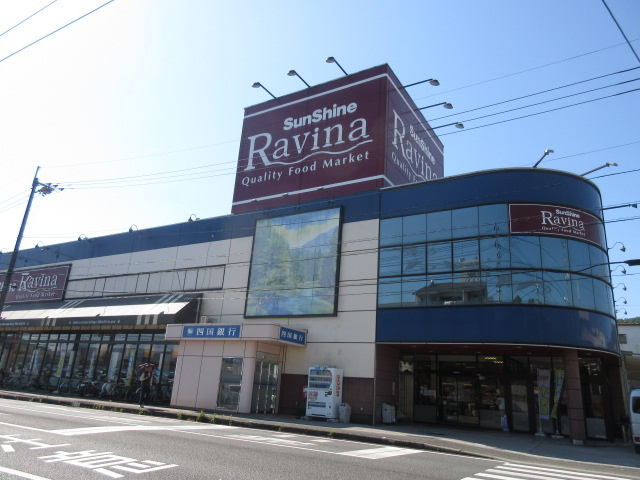 サンシャインラヴィーナ