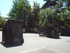 一橋大学