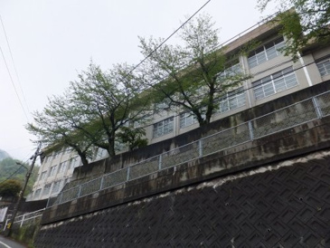 坪内小学校