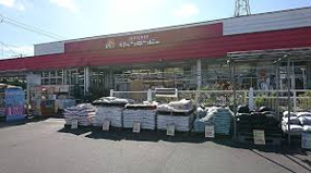 ジュンテンドー 郡家店