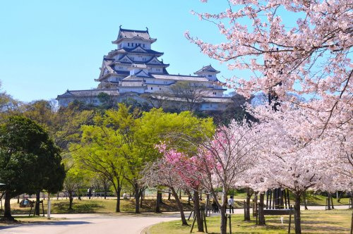 シロトピア記念公園