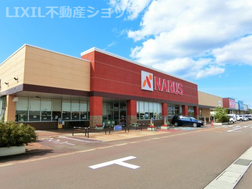 NARUS(ナルス) 南高田店